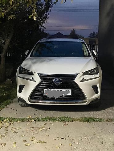 Lexus NX: 2019 г., 2.5 л, Автомат, Гибрид, Кроссовер