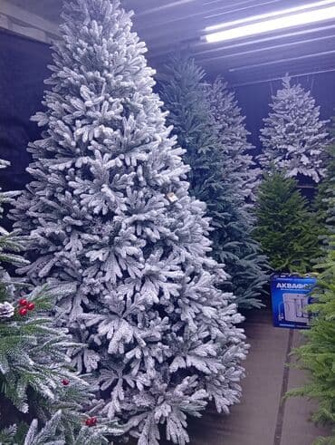 растения в аквариум купить: Все виды новогодних ёлок. от 0.6 до 4 метров. Украсит ваш дом — 5