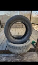 кой кыркыч: Продаю | Жеребенок | Для разведения | Племенные — 1