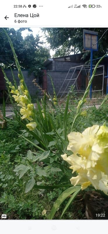 продаю дом кара балта: Дом, 5 м², 5 комнат, Собственник, Косметический ремонт — 31