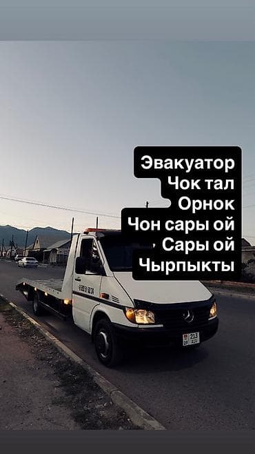 авто шампун: С лебедкой, Со сдвижной платформой, С прямой платформой — 1
