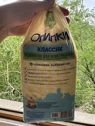 продать животных: Джунгарский хомячок (окрас светло-серый с белым брюшком) - — 8