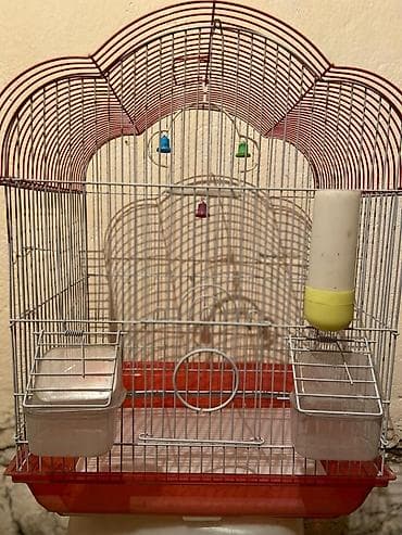 Цена договорная