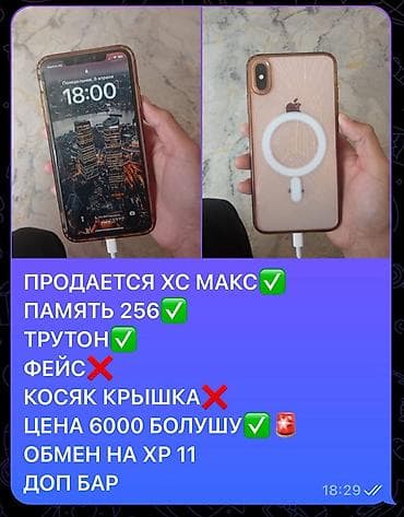 IPhone Xs Max, 256 ГБ at lalafo.kg IPhone Xs Max, 256 ГБ