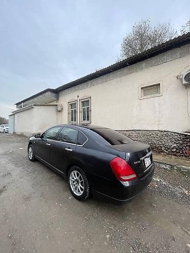 зимный: Nissan Teana: 2006 г., 2.3 л, Автомат, Бензин, Седан — 4