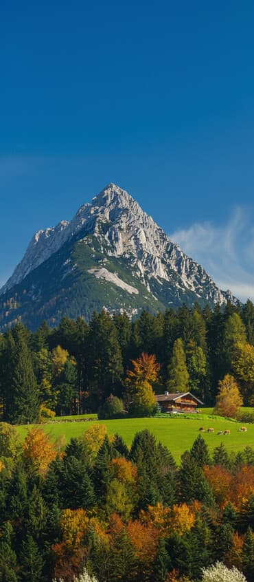 Саламатсыздарбы туугандар мен күнүмдүк төлөй турган жумуш издеп жүрөм