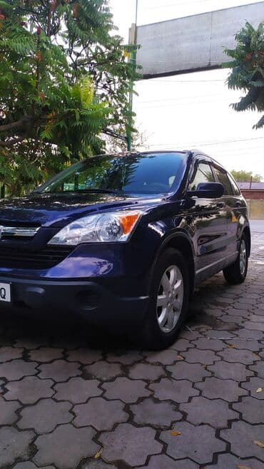 обзор цен на строительные и отделочные работы в бишкеке: Автомойка | Полировка, Детейлинг, предпродажная подготовка, Мойка двигателя — 4