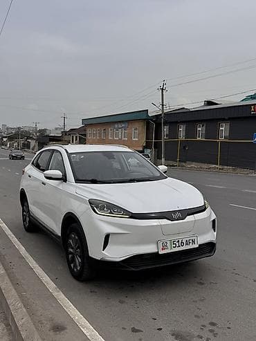 автономка спринтер: Weltmeister EX5, 2020 г. — 1