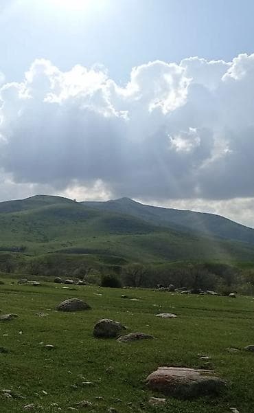 nova grant: 15 соток, Для сельского хозяйства, Красная книга — 1