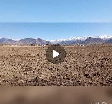 кок жар ж м: 25 соток, Айыл чарба үчүн, Кызыл китеп — 1