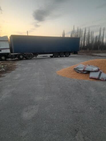 сколько стоит королевский дог: Кукуруза Жугору Мака Оптом . Тууру Коп. Разные Сорта Есть. ЧАЛГЫЛЫ — 3