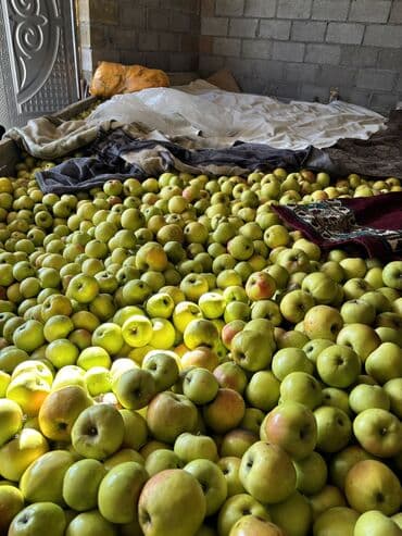 стеллажи для фруктов: Яблоки Оптом — 2