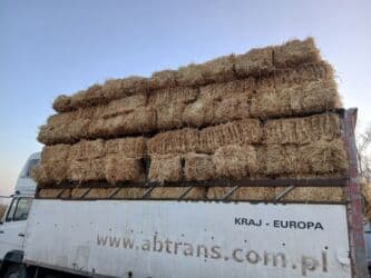 продажа щенков немецкой овчарки с документами в бишкеке: Продаю салому ячменая с доставкой беловодске 200 сом — 4