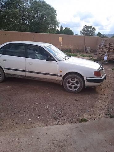решетки для: Audi 100: 1992 г., Седан — 2