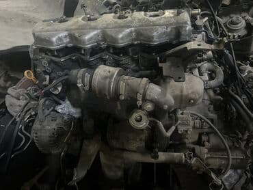 trail: Дизельный мотор Nissan 2004 г., 2.2 л, Б/у, Оригинал, Япония — 2