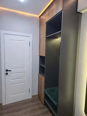 Кыймылсыз мүлк: 1 бөлмө, 46 м², Элитка, 10 кабат — 9