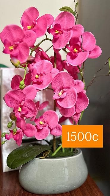 декоративная зелень: Искусственные цветочные композиции в декоративных контейнерах. - — 6