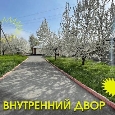 сдаю новопавловка: 222 кв. м — 29