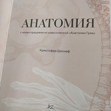 атлас анатомия: Анатомия с иллюстрациями из классической "Анатомии Грея" Кристофер — 2