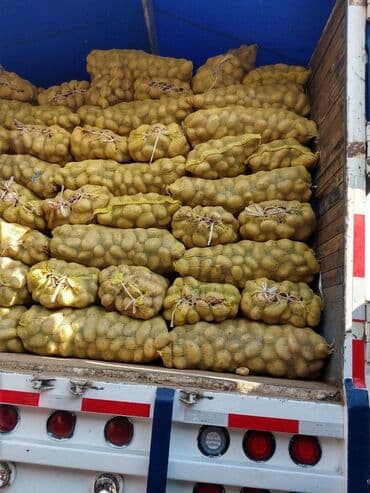 Саламатсынарбы срочна жумуш карап атабыз 2 аял кишибиз .Загатовщица