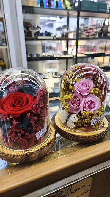 Подарок - живые розы которые не завянут даже через год!!! Роза в