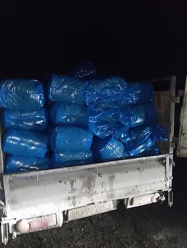 узи аппарат для животных: 25 кг ВЕС,С погрузкой +УПАКОВКИ,КУКУРУЗНЫЙ СИЛОС В ВАКУУМНОЙ — 10