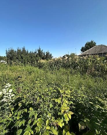 Продажа участков: 4 соток, Для строительства, Красная книга, Договор купли-продажи — 3