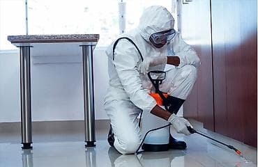 Дезинфекция, дезинсекция, | Тараканы, Клопы, Блохи, | Квартиры, Дома, Кафе, магазины