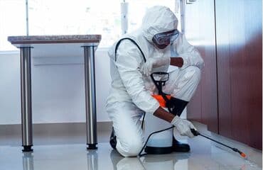 обработка квартиры от клопов: Дезинфекциялоо, дезинсекциялоо, | Таракандар, Канталалар, Бүргөлөр, | Батирлер, Үйлөр, Подъезддер — 1