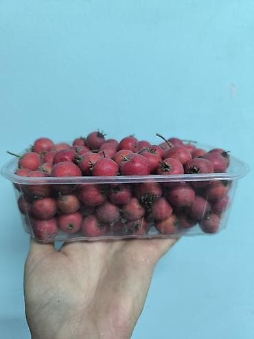 Азык-түлүктөр: Боярышник свежий, красный, мелкоплодный - Упаковка: прозрачный — 2