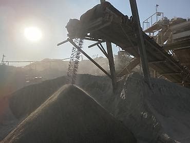 белые грибы: Отсев, Для фундамента, Оптом, В розницу, Камаз — 2