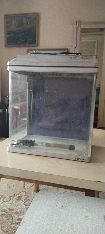 Индоутки,Селезень и 4тре.утки весенние этого года 3500т.сом — 4