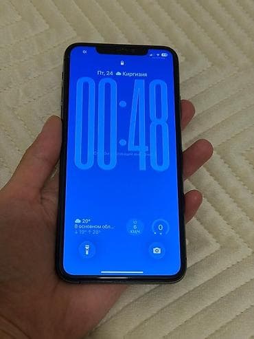 IPhone 11 Pro Max, Б/у, 256 ГБ, Space Gray, Защитное стекло, Чехол, 100 %