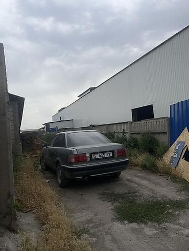 daf cf: Audi 100: 1995 г., Механика, Бензин, Седан — 1