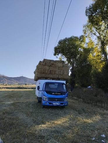 Срочно Foton сатылат 4.0 турбина 2002 Российский учет болгону учун — 3
