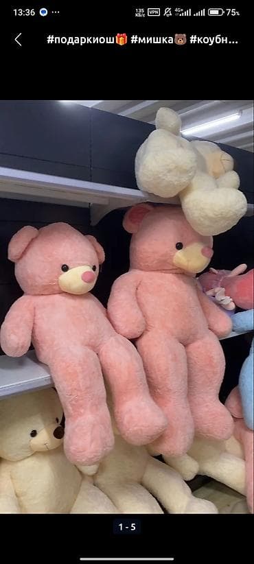 МИШКТ#ОШ#МИШКИ#БИШКНК#Мишки#ДжалалАбад