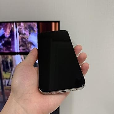 Техника жана электроника: IPhone 16 Pro Max, Колдонулган, 256 ГБ, Natural Titanium, Коргоочу айнек, Каптама, Кабель, 91 % — 3