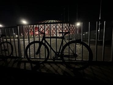 thindiag 2: Фикс‑байк (single speed) городской/трековый - Рама и вилка: жесткая — 4