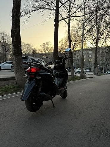 Скутеры: Скутер/мопед городского типа, черный, с агрессивным дизайном передней — 5