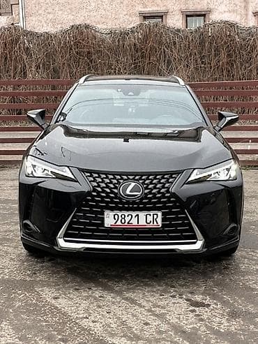 Lexus UX: 2019 г., 2 л, Типтроник, Бензин, Кроссовер
