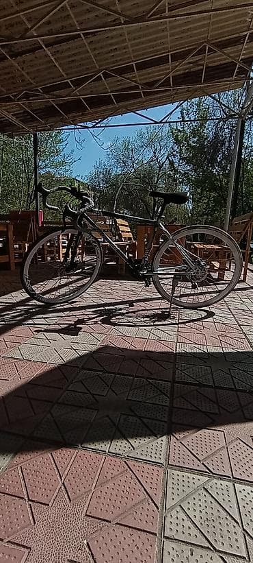 Городской велосипед, Рама L (172 - 185 см), Б/у