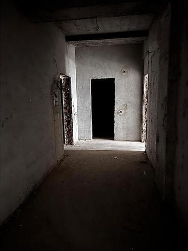 Недвижимость: 1 комната, 56 м², Элитка, 2 этаж, Готовая ПСО (под самоотделку) — 5