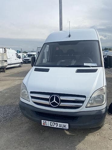 Mercedes-Benz Спринтер: 2010 г.