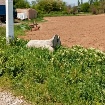 продаю дом сокулук шопоков: Үй, 27 м², 2 бөлмө, Эски ремонт — 1