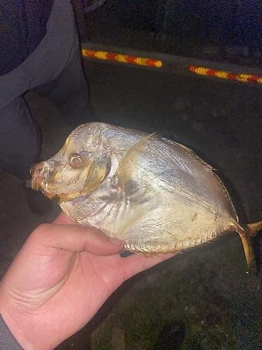 Услуги по строительству и ремонту: Сварка | Трубы — 7