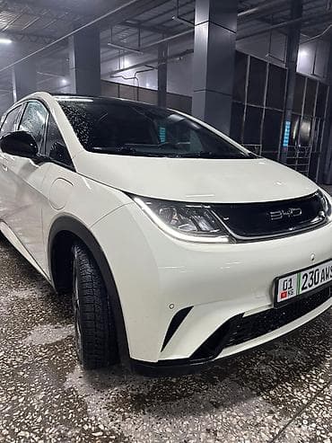 BYD Dolphin: 2023 г., Автомат, Электромобиль, Хэтчбэк