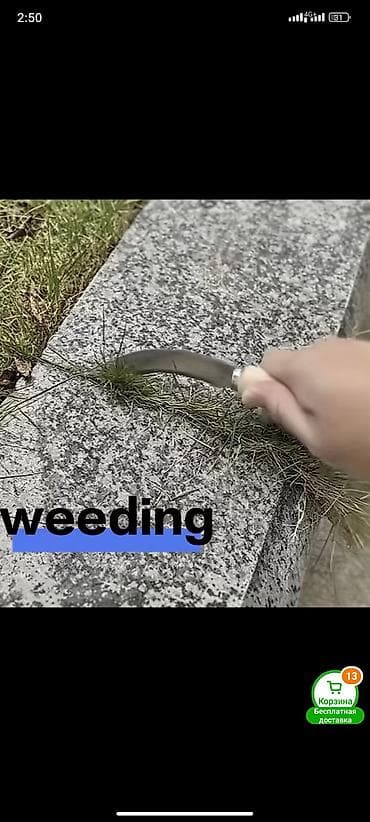 Үй жана бакча: Бакча ороктору, Өзү алып кетүү — 3