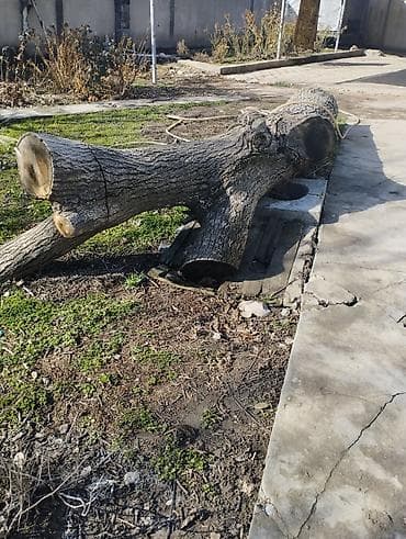 Садовая мебель: Дрова — 2