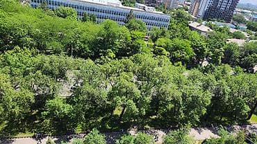Продажа квартир: 1 комната, 36 м², Индивидуалка, 12 этаж, Косметический ремонт — 7