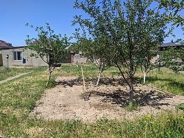 16 соток, Для строительства, Красная книга at lalafo.kg 16 соток, Для строительства, Красная книга